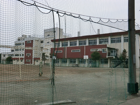 周辺環境 中学校 1000m 小金井市立緑中学校
