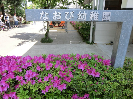 周辺環境 幼稚園・保育園 800m なおび幼稚園