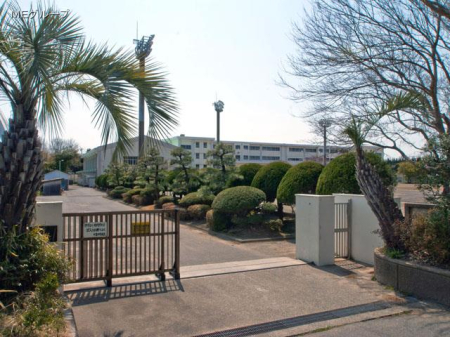 ӊ wZ 620m swZ