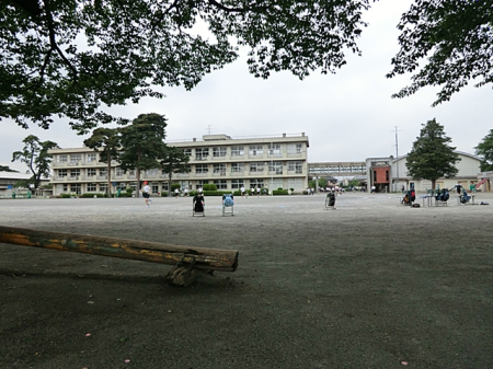 周辺環境 小学校 250m 相模原市立弥栄小学校