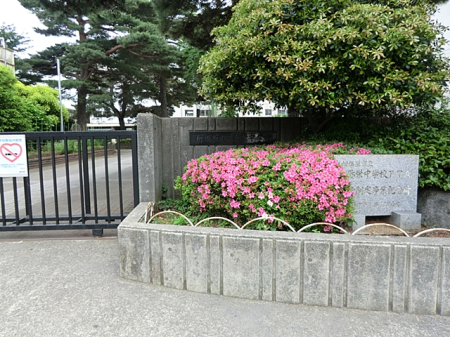 周辺環境 中学校 400m 相模原市立弥栄中学校