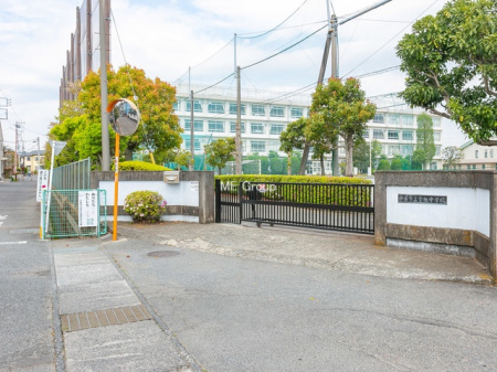 周辺環境 中学校 1800m 平塚市立金旭中学校