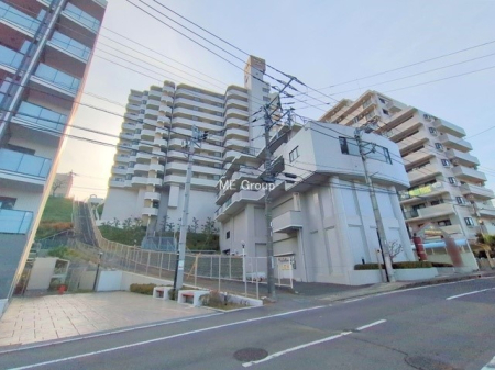 nOώʐ^ OρV̑ASn悢