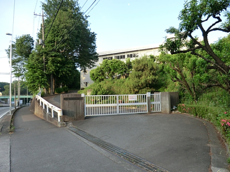 周辺環境 小学校 560m 相模原市立作の口小学校