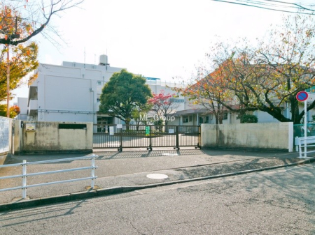 ӊ wZ 290m lsuwZ