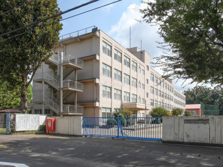周辺環境 中学校 300m 大和市立上和田中学校