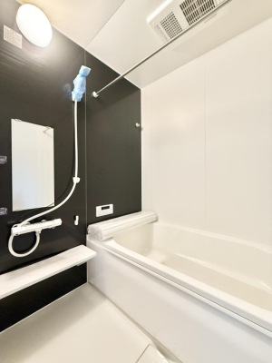 ���� �����������������F�����̕ǖʁA������芰����o�X���[��