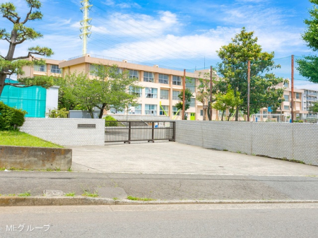 ���ӊ� ���w�Z 500m ����s����돬�w�Z