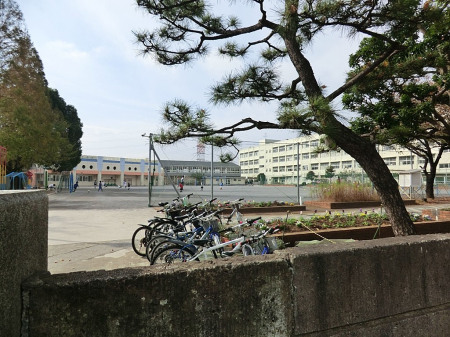 ӊ wZ 1900m ls]uwZ