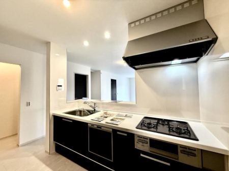 �L�b�`�� �������L���C�ɕЕt���A�g���₷���L�b�`��