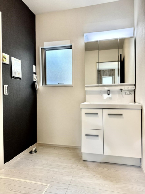 ���ʑ�E���ʏ� ���������̏������X���[�Y�ɂł���L���ł�