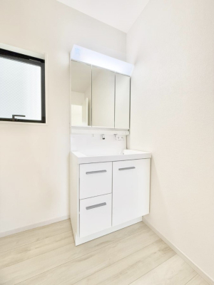 ���ʑ�E���ʏ� ���������̏������X���[�Y�ɂł���L���ł�