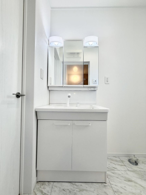 ���ʑ�E���ʏ� ���������̏������X���[�Y�ɂł���L���ł�