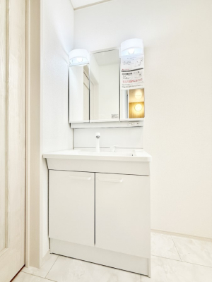 ���ʑ�E���ʏ� ���������̏������X���[�Y�ɂł���L���ł�