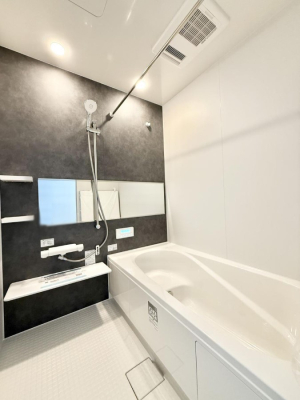 ���� �����������������F�����̕ǖʁA������芰����o�X���[��