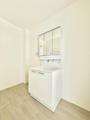 ���ʑ�E���ʏ� ���������̏������X���[�Y�ɂł���L���ł�