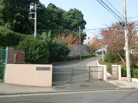 ӊ wZ 1100m lswZ