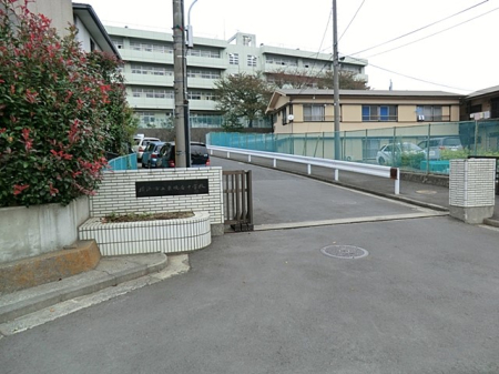 ӊ wZ 1500m lswZ