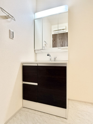 ���ʑ�E���ʏ� ���������̏������X���[�Y�ɂł���L���ł�