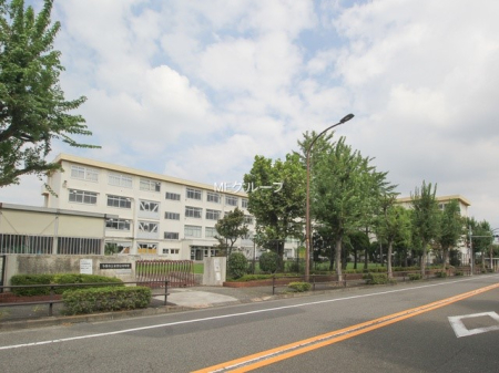 ���ӊ� ���w�Z 1000m �����s�����������w�Z