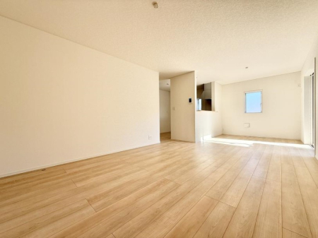 ���̑����� ����