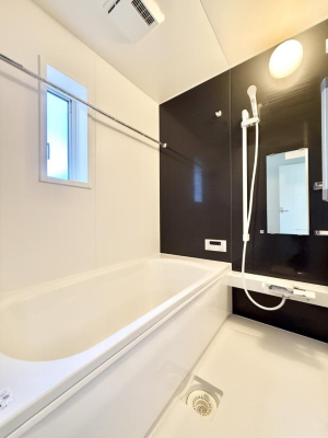 ���� ����