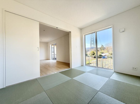 ���̑����� ����