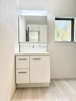 ���ʑ�E���ʏ� ���������̏������X���[�Y�ɂł���L���ł�