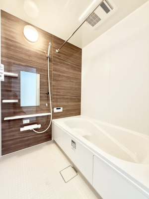 ���� �����������������F�����̕ǖʁA������芰����o�X���[��