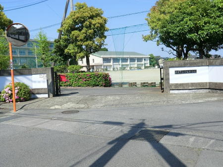 ӊ wZ 1211m ˎswZ
