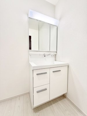 ���ʑ�E���ʏ� ���������̏������X���[�Y�ɂł���L���ł�