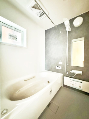 ���� �����������������F�����̕ǖʁA������芰����o�X���[��