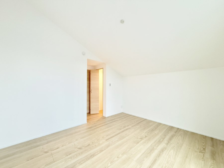 ̑ F̂ŉ₩ȎԂy߂܂