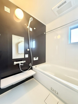 ���� �����������������F�����̕ǖʁA������芰����o�X���[��