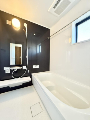 ���� �����������������F�����̕ǖʁA������芰����o�X���[��