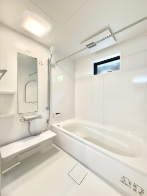 ���� �����������F�����̕ǖʁA�������A������芰����o�X���[���B