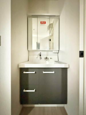 ���ʑ�E���ʏ� ���������̏������X���[�Y�ɂł���L���ł�