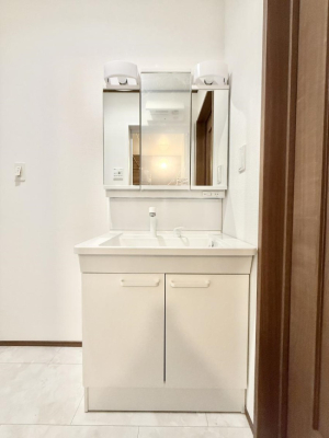 ���ʑ�E���ʏ� ���������̏������X���[�Y�ɂł���L���ł�