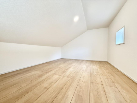 ���̑� ������+���̃X�y�[�X�I���t�g�t���I  