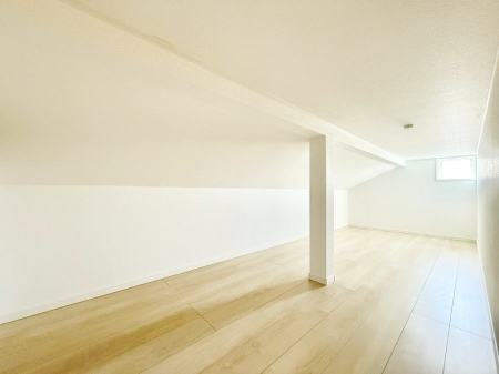 ���[ �������O���j�G������̂ŔN�ɐ��񂵂��g��Ȃ������u���ꏊ�ɍ���܂���i2�����j