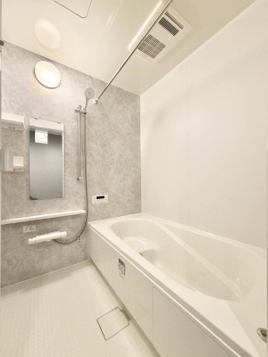 ���� �����������F�����̕ǖʁA�������A������芰����o�X���[���B  