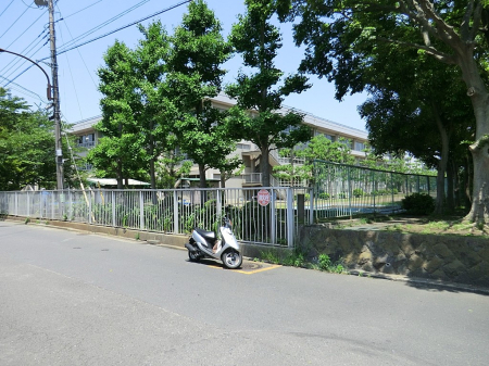 ӊ wZ 700m {s_wZ