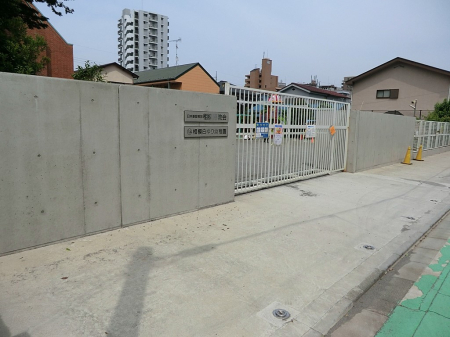 ӊ ctEۈ牀 1000m ͔ct