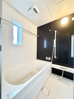 ���� �����������������F�����̕ǖʁA������芰����o�X���[��