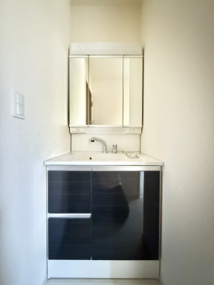 ���ʑ�E���ʏ� �������������Ő������̂�����ʏ�