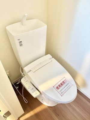 ���̑� ����