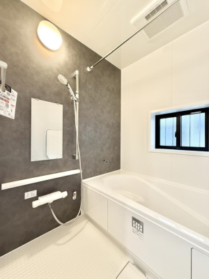 ���� �����������������F�����̕ǖʁA������芰����o�X���[��