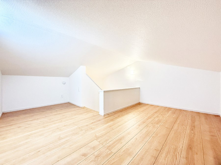 ���̑� ������+���̃X�y�[�X�I���t�g�t���I  