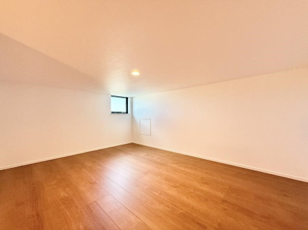 ���̑� �������v���X���̎��[�X�y�[�X  