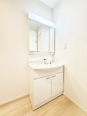 ���ʑ�E���ʏ� ���������̏������X���[�Y�ɂł���L���ł�